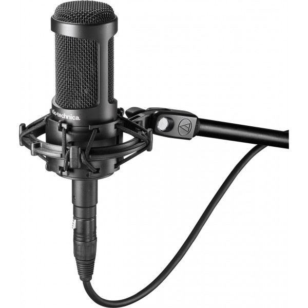 Microphones Audio-Technica AT2035