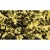 Showtec Gold metallic Confetti 55x17mm slowfall 1kg Flameproof