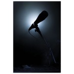 Microphones Dap-Audio D1342