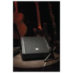Speakers Dap-Audio D3660