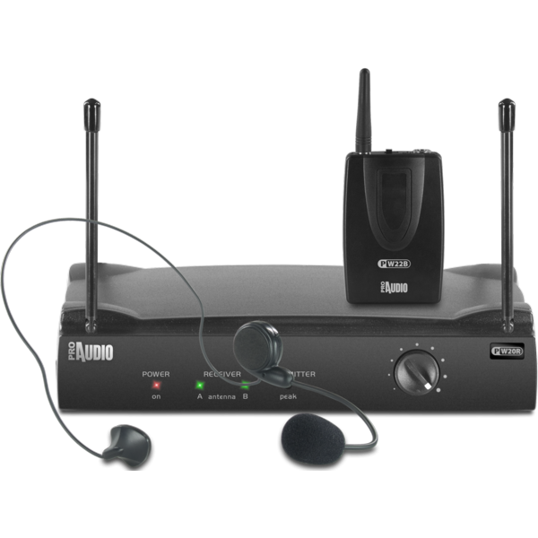 Sistemi Wireless Proaudio PW220